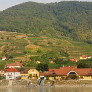 49 region Wachau w austrii